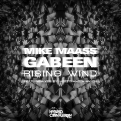 GabeeN & Mike Maass - Rising Wind [Hybrid Confusion]