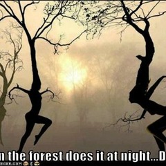 dance of the hidden forest (crazy version)