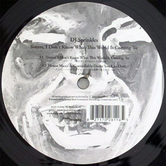DJ Sprinkles - Grand Central, Part I (Deep Into The Bowel Of House) (MCDE Bassline Dub)