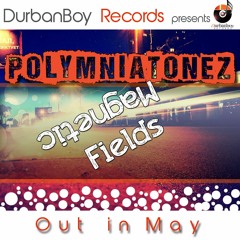 Polymniatonez - Magnetic fields( Original Mix)