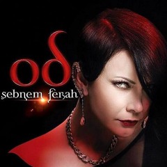 Şebnem Ferah - Birileri Var (2013)