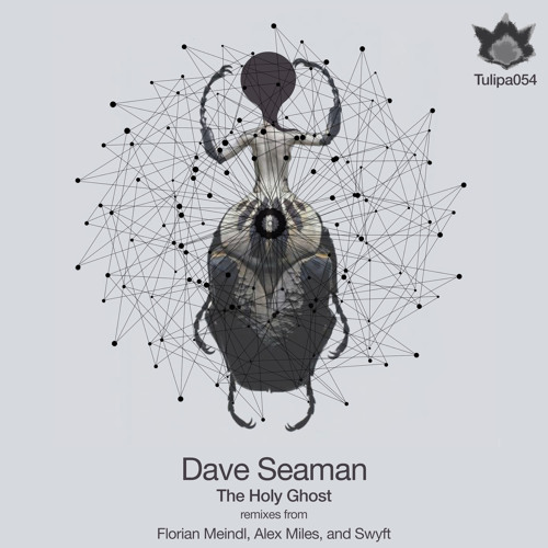 Dave Seaman 'The Holy Ghost' - Original mix (192kbps Preview)