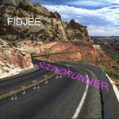 FIDJEE   Soundrunner   ... free  preview ...  MP3 secured with audio tags