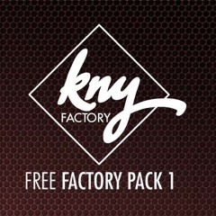 Fard feat Redman_Like this (prod by KNY FACTORY)