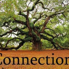 הלילות הקסומים