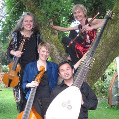 Telemann: Trio Sonata in D Major for Flute, Viola d'Amore, and Continuo: I: Adagio