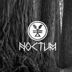Noctum - The Crying Mountain