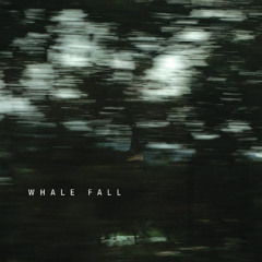 Whale Fall - Depth of Field
