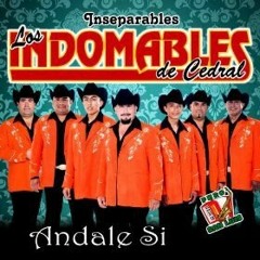 Indomables decedral