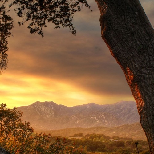 SDDx & Cresce - Acceptance (Original Mix)