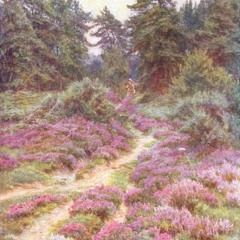 Cold Water (extremely lo-fi)