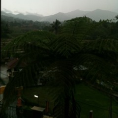 Tahu Diri - Maudy Ayunda (cover acoustic)