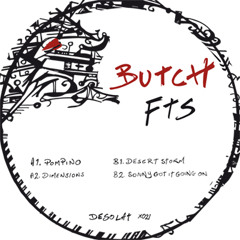 B2 Butch - Sonny Got It Going On - DESOLAT X021 (snippet)