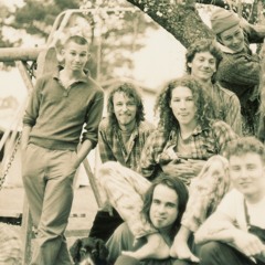 'Some Dogs' by Treehouse 1994