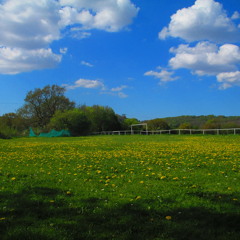 Cover of lighthouse family , i want to run