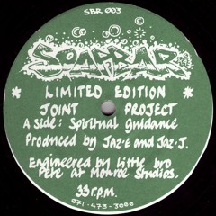 Joint Project - Spiritual Guidance