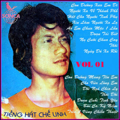Vietnamese