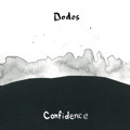 The&#x20;Dodos Confidence Artwork