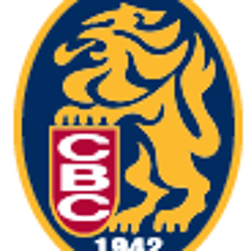 Leones del caracas