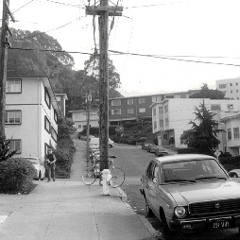 SIR WALTER BANGS - 1993 SUNRISE STREET