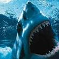 Jaws excerpt 1