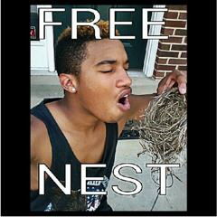 #FreeNest