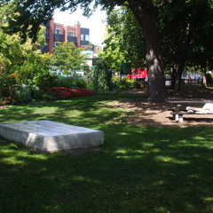 What I Thought Where