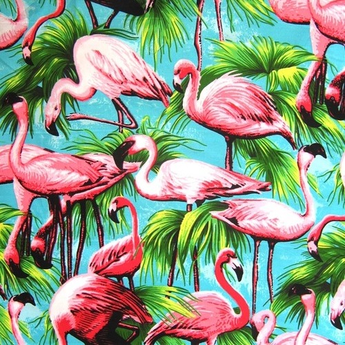 Flamingo