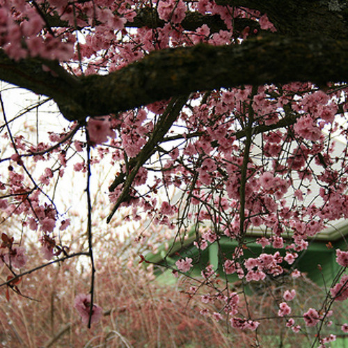 William Fitzsimmons - Fortune