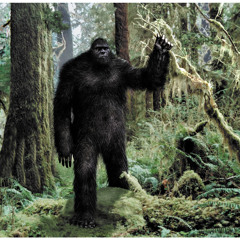 Big Foot
