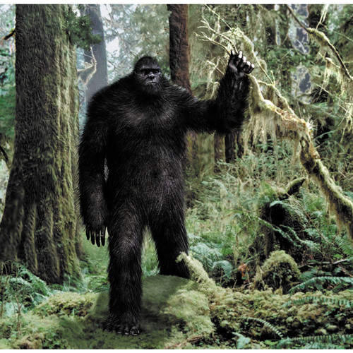 Big Foot