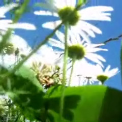 08 Hug the Sunshine