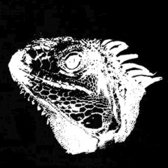 Mauro Picotto - Komodo (Sepromatiq remix)