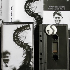 Flesh Coffin - Horror Vacui II (excerpt)