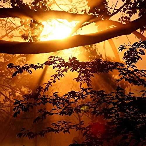 Alex Schmidt - Schnabeln (Original Mix)