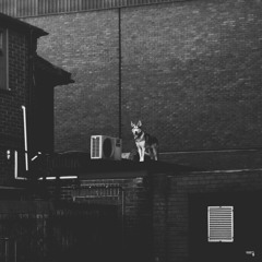 LB006: WIFE//// Stoic (Preview) - Out Now