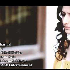 Mere Harjai OST -By  Moiz Bin Nazar- Ary Digital - Complete Song -