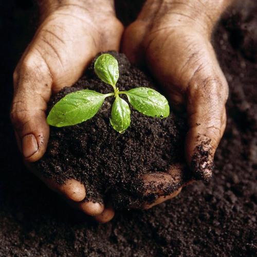 Divine Breezes: Preparation for Rajab & Beyond