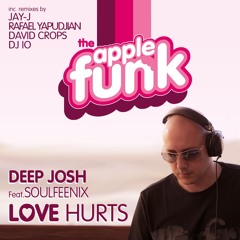 Deep Josh Feat Soulfeenix -  Love Hurts (Vocal mix) SNIPPET
