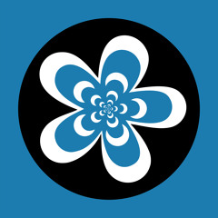 Lunks : Magellanic Clouds (preview) [Flying Flowers Records]