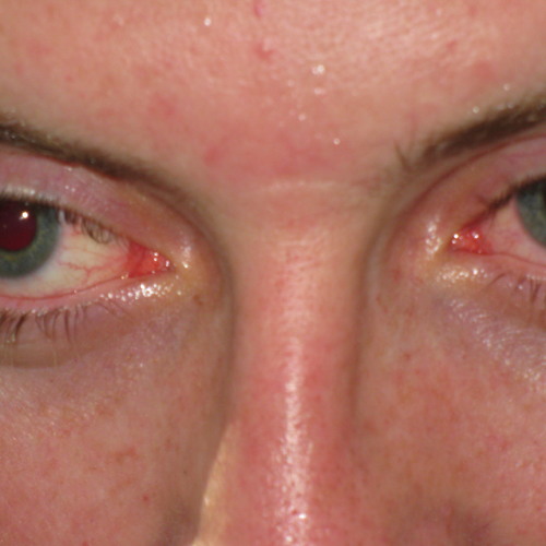 Maybe one day it could be something like an album