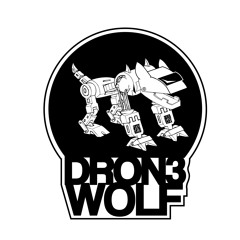 Ladi Dadi vs Save The World (DRON3 WOLF Mashup)