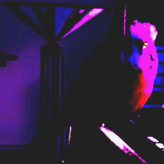 flipbit03 - I'm not a Crook (Parakeet Song)