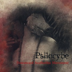 09.Psilocybe - Unconditional And Immediate