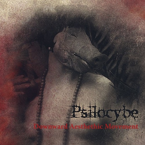 05.Psilocybe - Sub Specie Aeternitatis