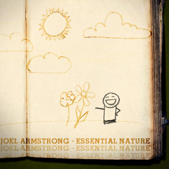 Joel Armstrong - This Wonderful Mess (Original Mix)