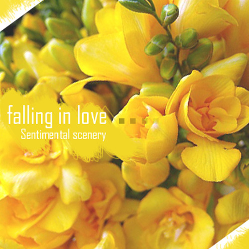 Sentimental Scenery - Falling in love
