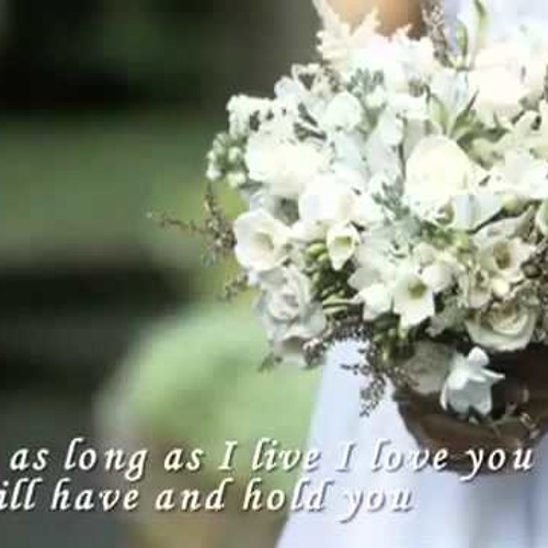free download mp3 beautiful in white westlife free download mp3 beautiful in white westlife