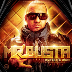Mr.Busta feat. Bódi Bettina & awful-Kamutemető