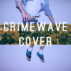 Crystal Castles - Crimewave (Acoustic Cover)